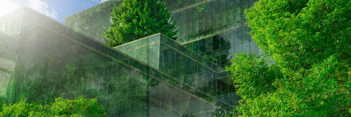 Are Eco-Cities the Future of Urban Living?