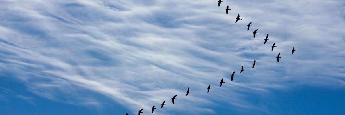 Climate Migration: A Growing Global Challenge