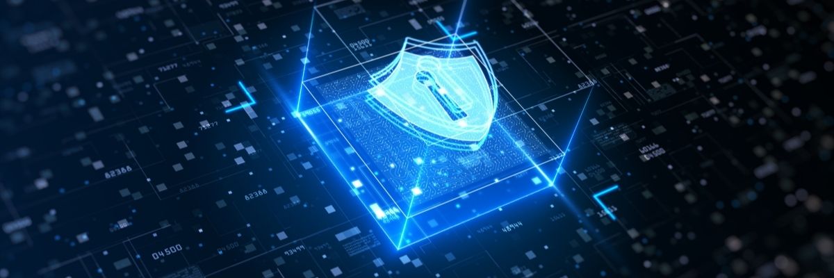 Digital ID Systems: Progress or Privacy Nightmare?