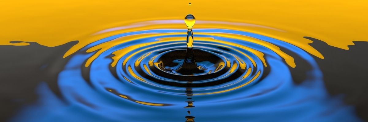 Living a Low-Impact Lifestyle: Where to Start